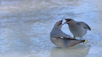 I love you too_0532.JPG