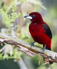 YF1_1381_C.jpg YF1_1381_C.jpg