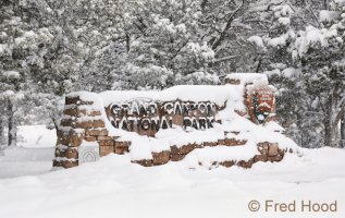 2B6A2628adj.jpg 2B6A2628adj.jpg