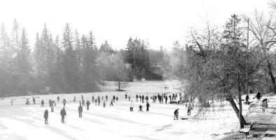 20190113 065b-Pano.jpg