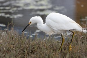 EOS R Test(resize)02.jpg