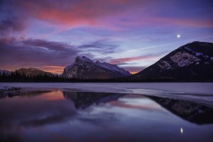 _61A8992-Edit-Edit-Edit copy.jpg