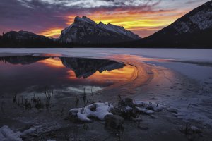 _61A9032-Edit-Edit-Edit copy.jpg