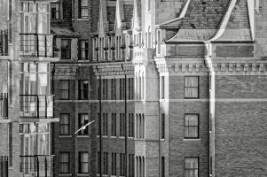 _MG_5084_openWith copy copy_DxOVP.jpg