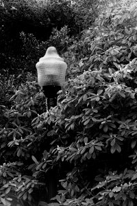 _36A2613_DxO-1-Edit copy_DxO.jpg