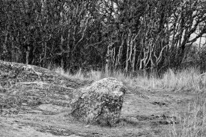 _36A2591_DxO copy_DxO.jpg