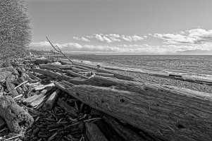 _MG_5145_DxO copy.jpg