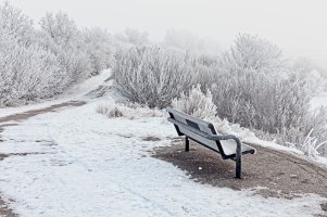 _MG_8744_DxO copy.jpg