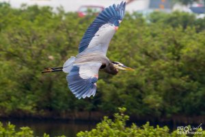 IMG_6432.jpg IMG_6432.jpg