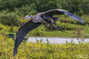 IMG_6434.jpg IMG_6434.jpg