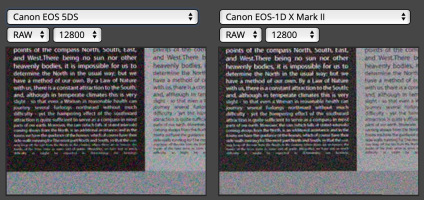 Screen Shot 2019-02-19 at 1.23.18 PM.png