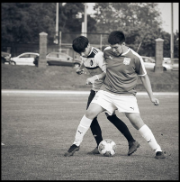 Screen Shot 2019-05-02 at 2.31.19 PM.png