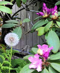 Intense Flowers - White, Purple and Green.png