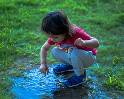 Mud Puddle 1 web.jpg