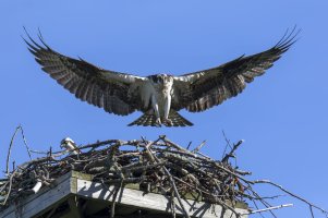 AA2A122B-538F-4737-98CA-0330D98FCA03.jpeg AA2A122B-538F-4737-98CA-0330D98FCA03.jpeg