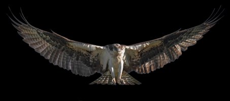 FD7BA5B4-6A1B-429C-BC55-D7FB5C667DCC.jpeg FD7BA5B4-6A1B-429C-BC55-D7FB5C667DCC.jpeg