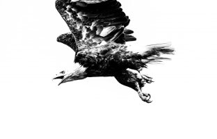 16A89F7B-BC7F-4BA9-8D24-86F78ADAC5B5.jpeg