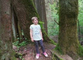 Does the Forest Speak To The Child.png