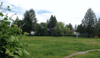 When the Fields are Lonely.png