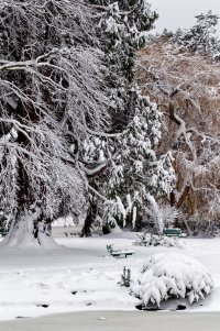 _36A0897_DxO copy.jpg