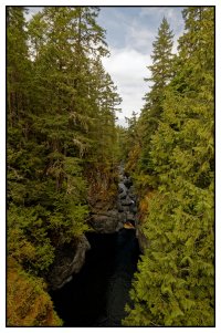 IMG_9370_DxO copy.jpg