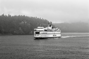 _MG_9378_DxO copy.jpg