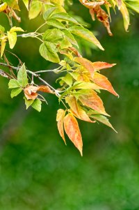 _36A6419_DxO copy.jpg