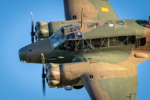 NZ Day 3 (182 of 252).jpg