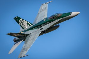 NZ Day 3 (120 of 252).jpg