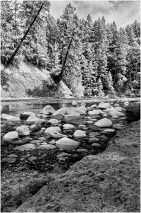 _MG_9364_DxO-1 copy 2.jpg