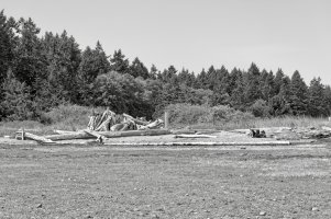 _MG_9313_DxO copy 2.jpg