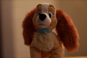 2E5A2405 Corrections on.JPG