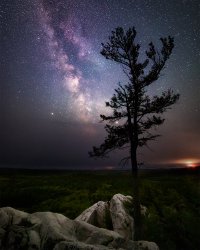 singing to the stars - web.jpg