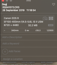 Screenshot 2019-09-26 at 17.10.07.png