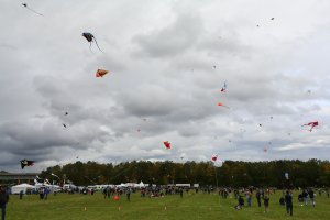 Kite_festival_1.JPG