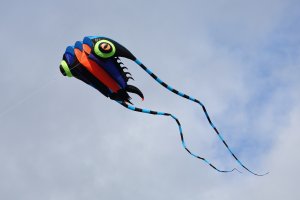 Kite_festival_2.JPG