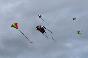 Kite_festival_3.JPG