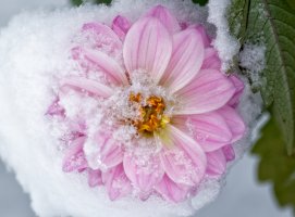 _36A6578_DxO copy1.jpg