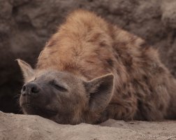 IMG_5553.jpg IMG_5553.jpg