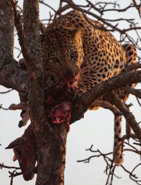 IMG_5304.jpg IMG_5304.jpg