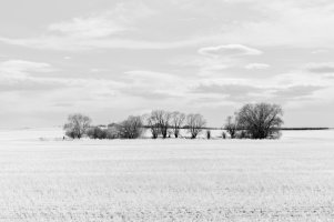 _MG_2087_DxO copy.jpg