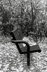 _MG_9599_DxO copy.jpg