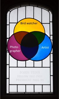 Venn_Bird_Photography.jpg