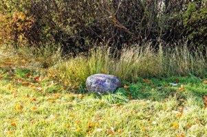 _MG_9646_DxO copy.jpg