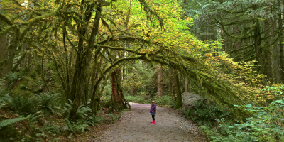 02_Halloween's Forest.png