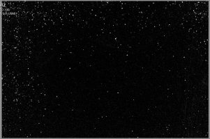 Screen Shot 2019-10-28 at 10.09.13 PM.png