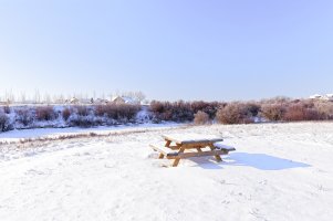 _MG_9951_DxO copy.jpg