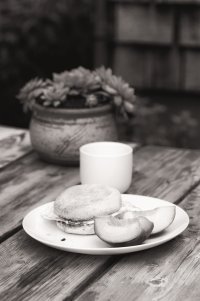 IMG_0389_DxO copy.jpg