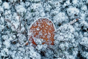 _36A6764_DxO.jpg
