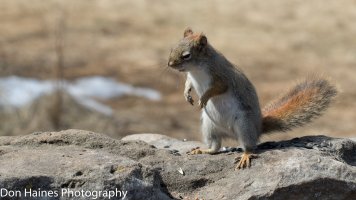 8419DBBD-C3A5-4456-933A-791170125584.jpeg 8419DBBD-C3A5-4456-933A-791170125584.jpeg